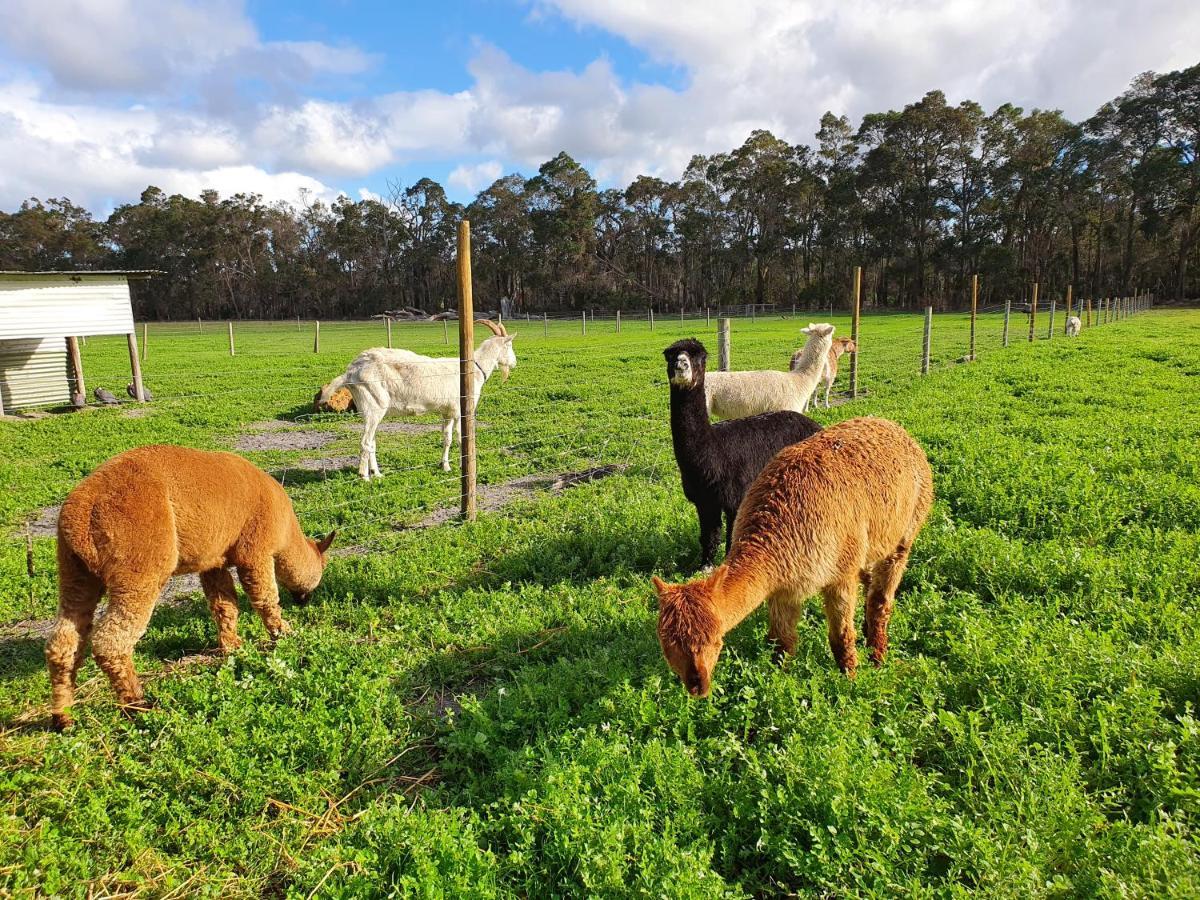 Kerriley Park Farmstay Yelverton Eksteriør billede